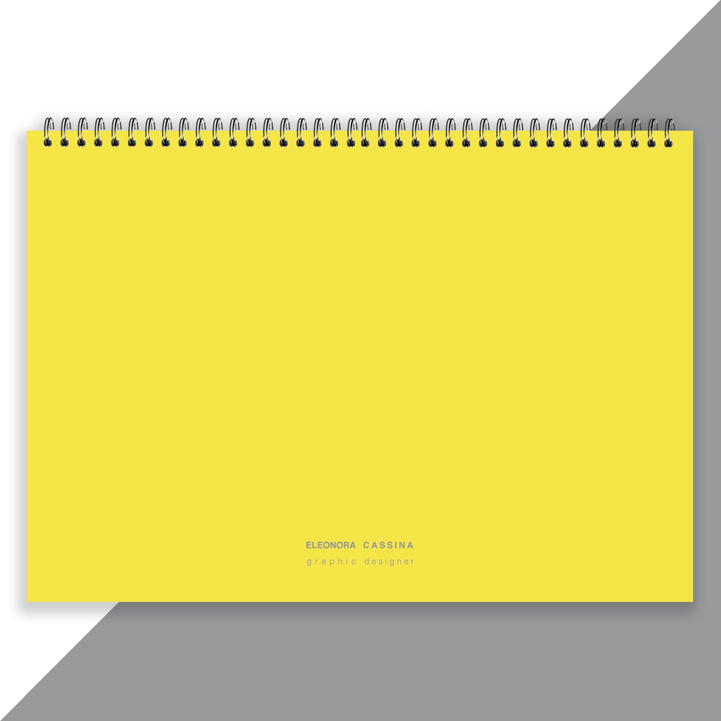 Desk Planner: Special Pantone